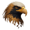 eagle-iptv-Subscription